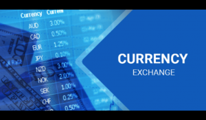 What Are the Risks of Currency Exchange Fluctuations?